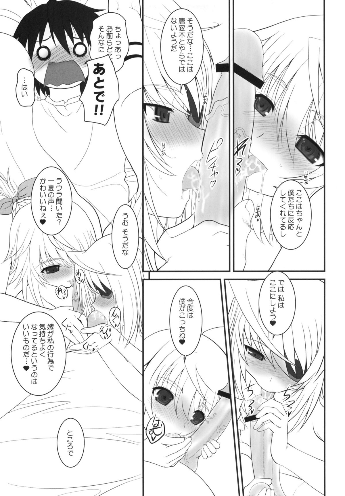 (COMIC1☆5) [ディエップ工房 (あるぴーぬ)] IS-LAND (IS＜インフィニットストラトス＞)