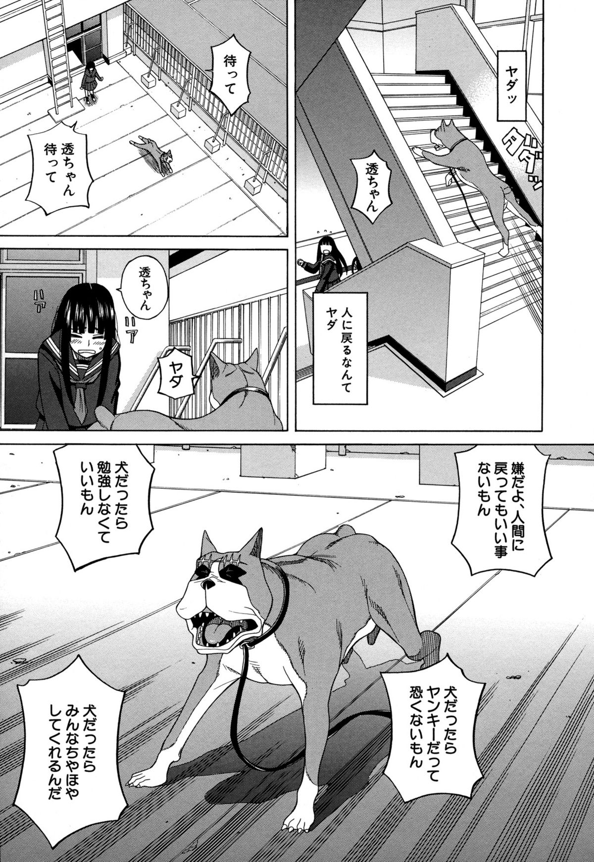 [ZUKI樹] モテる犬の生きざま