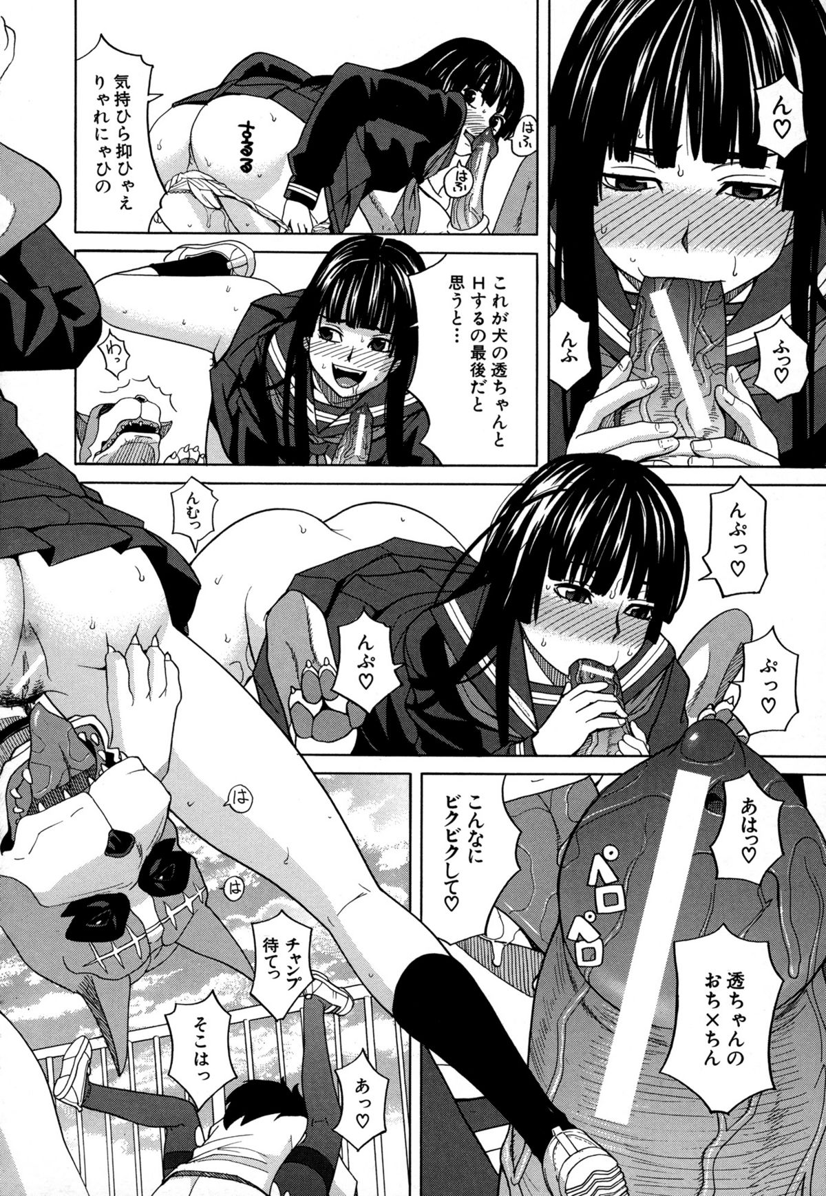 [ZUKI樹] モテる犬の生きざま