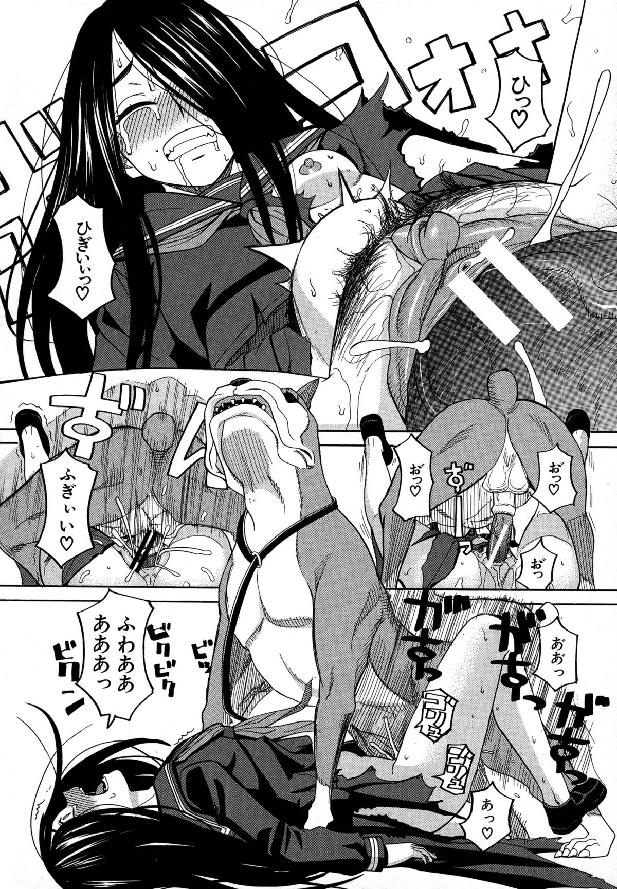 [ZUKI樹] モテる犬の生きざま