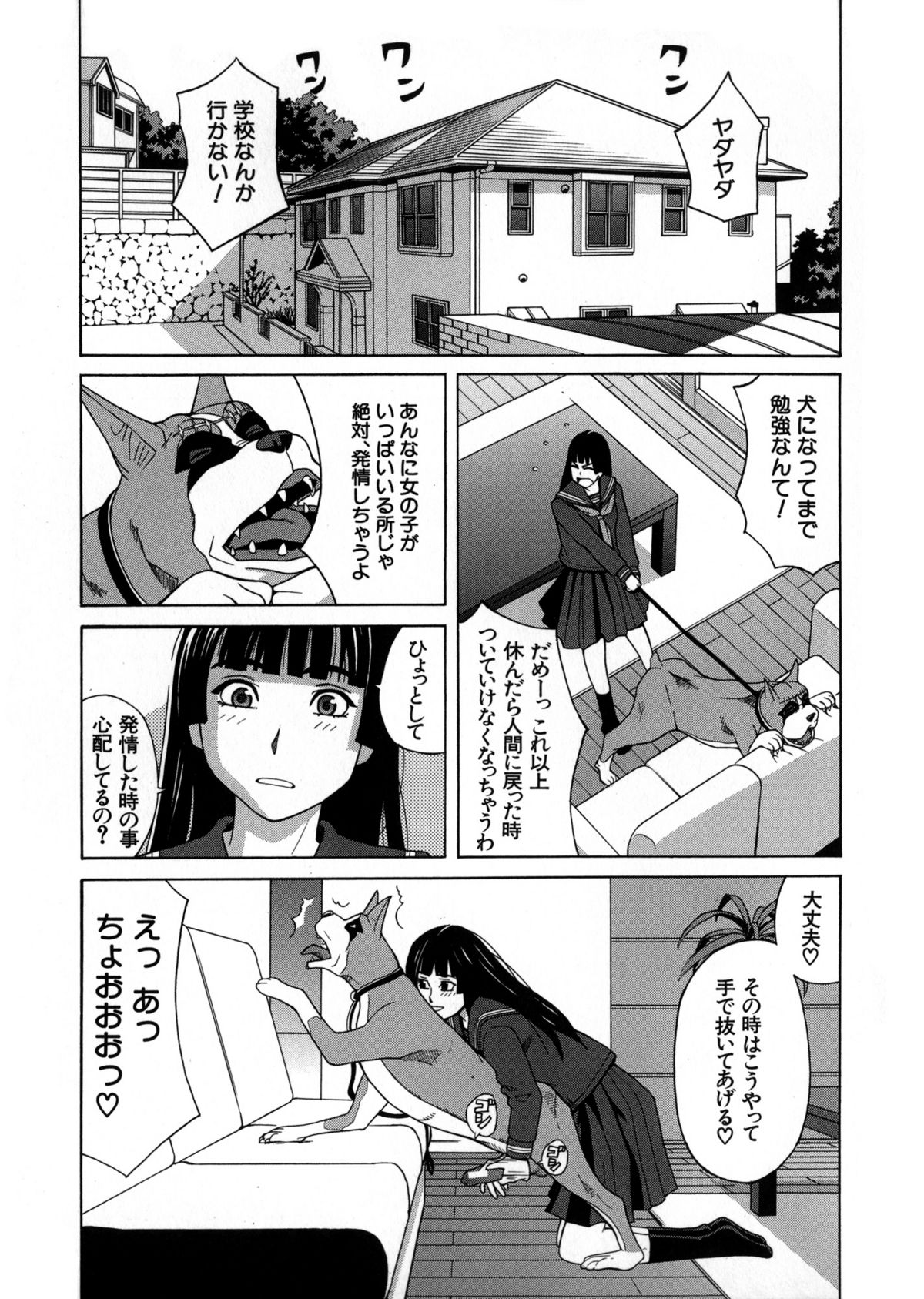 [ZUKI樹] モテる犬の生きざま