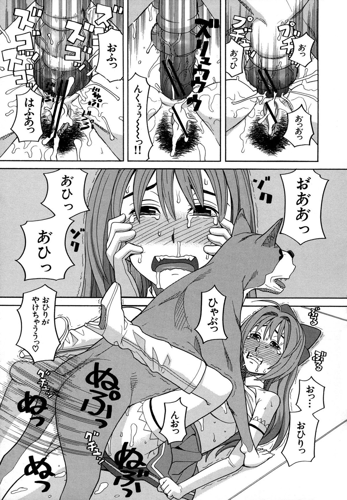 [ZUKI樹] モテる犬の生きざま