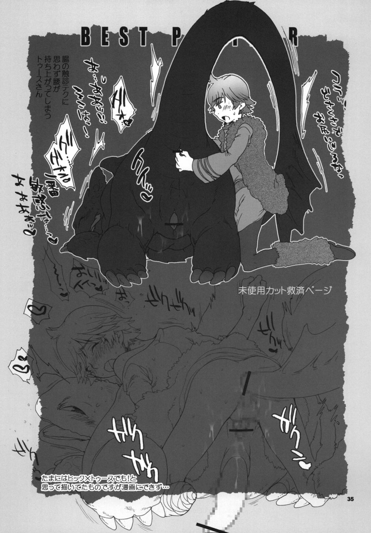 (C81) [こんなところのきんにくまできたえるなんて… (すごいきんにく)] BEST PARTNER6 (ヒックとド ラゴン)