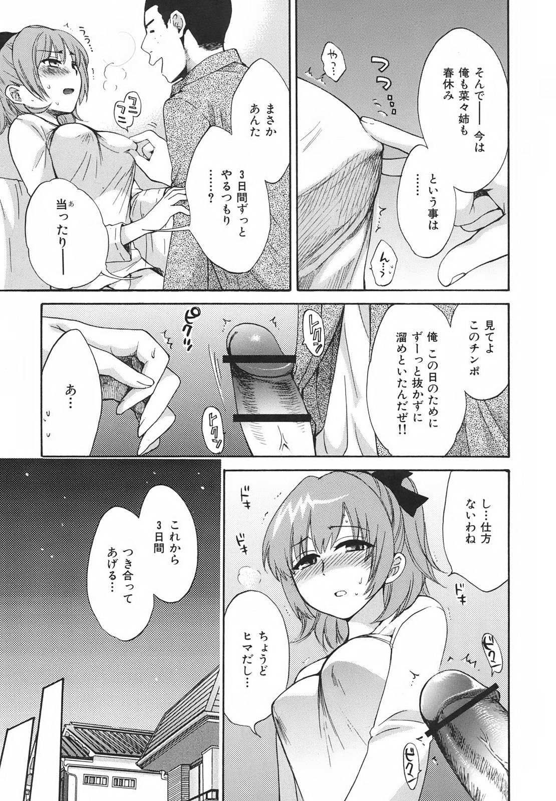 [ポン貴花田] ぴたごらすびっち