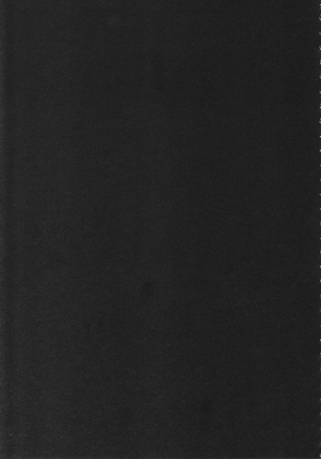 (C81) (同人誌) [集団暴力(むらさき朱)] Record of ALDELAYD poop stroll of nightmare