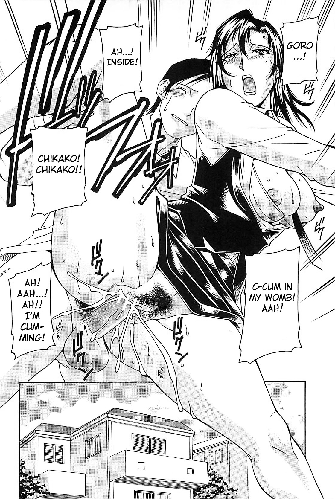 【ドンシゲル】ワイフ（コンプリート）【英語】【フェイトサークル】