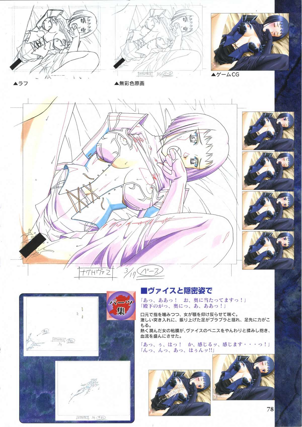 エルフィーナ ～淫夜へと売られた王国で・・・～ 設定原画集