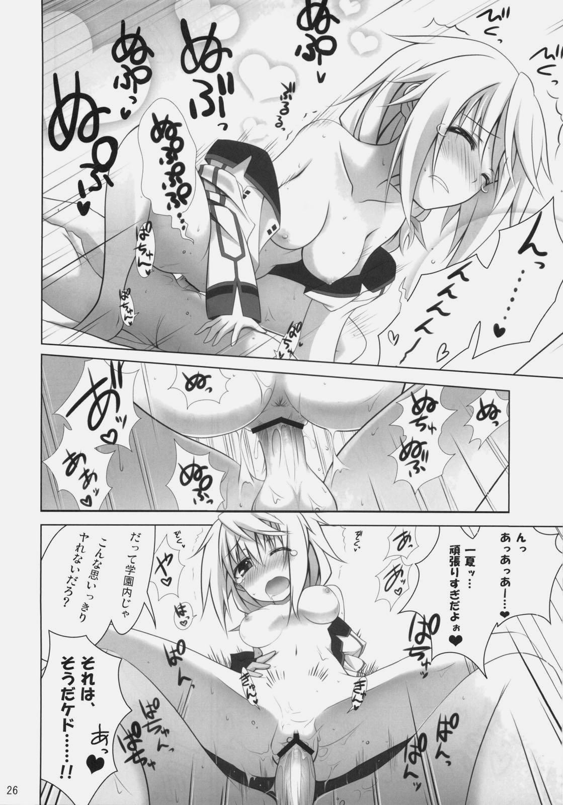 (COMIC1☆5) [47sp, SSB (高階@聖人, まりりん)] ichica to (IS＜インフィニット・ストラトス＞)