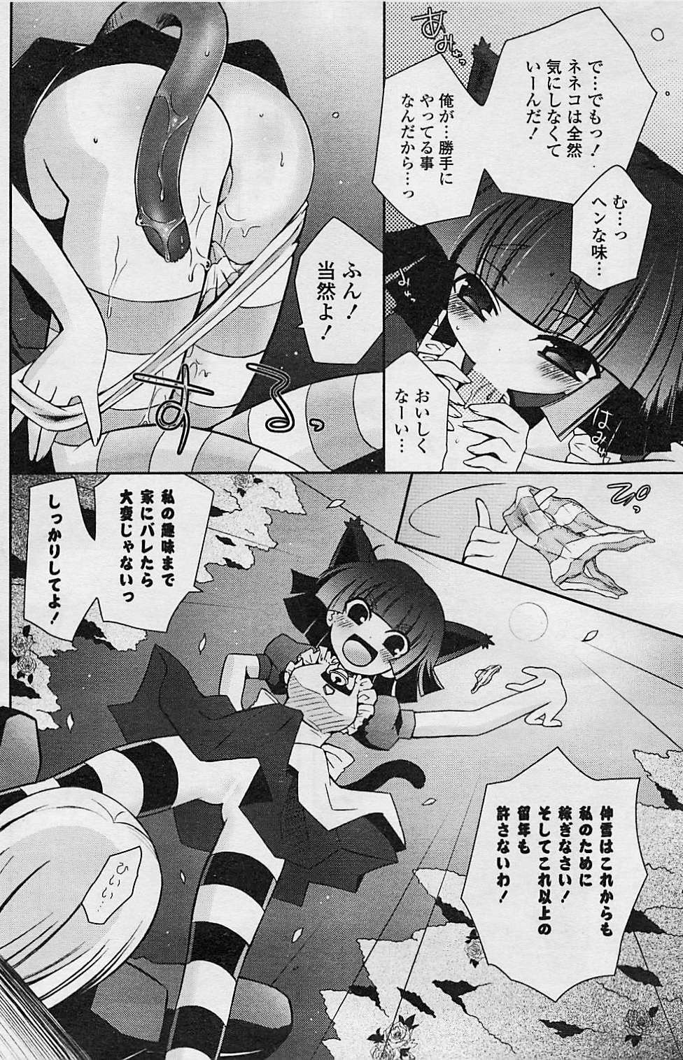 COMIC ポプリクラブ 2008年08月号