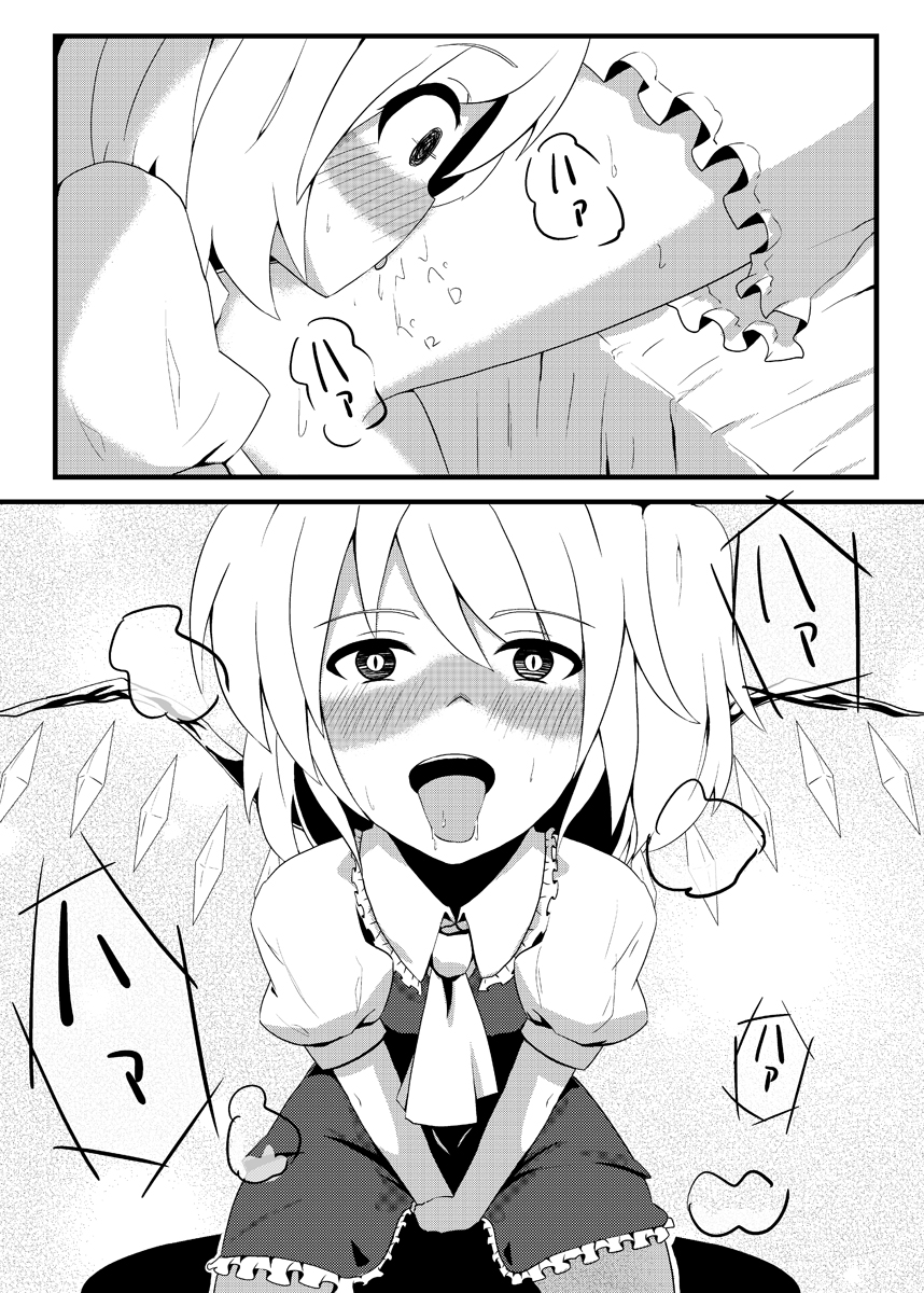 (同人誌) [むんれが] FranFetishism (東方)