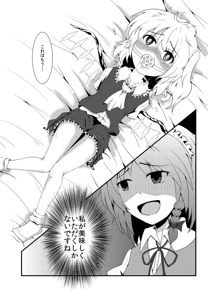 (同人誌) [むんれが] FranFetishism (東方)