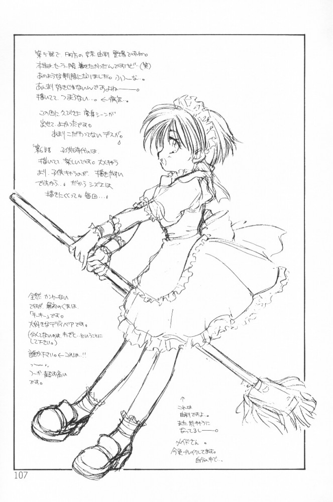 [あらなが輝] HOGシズエくん