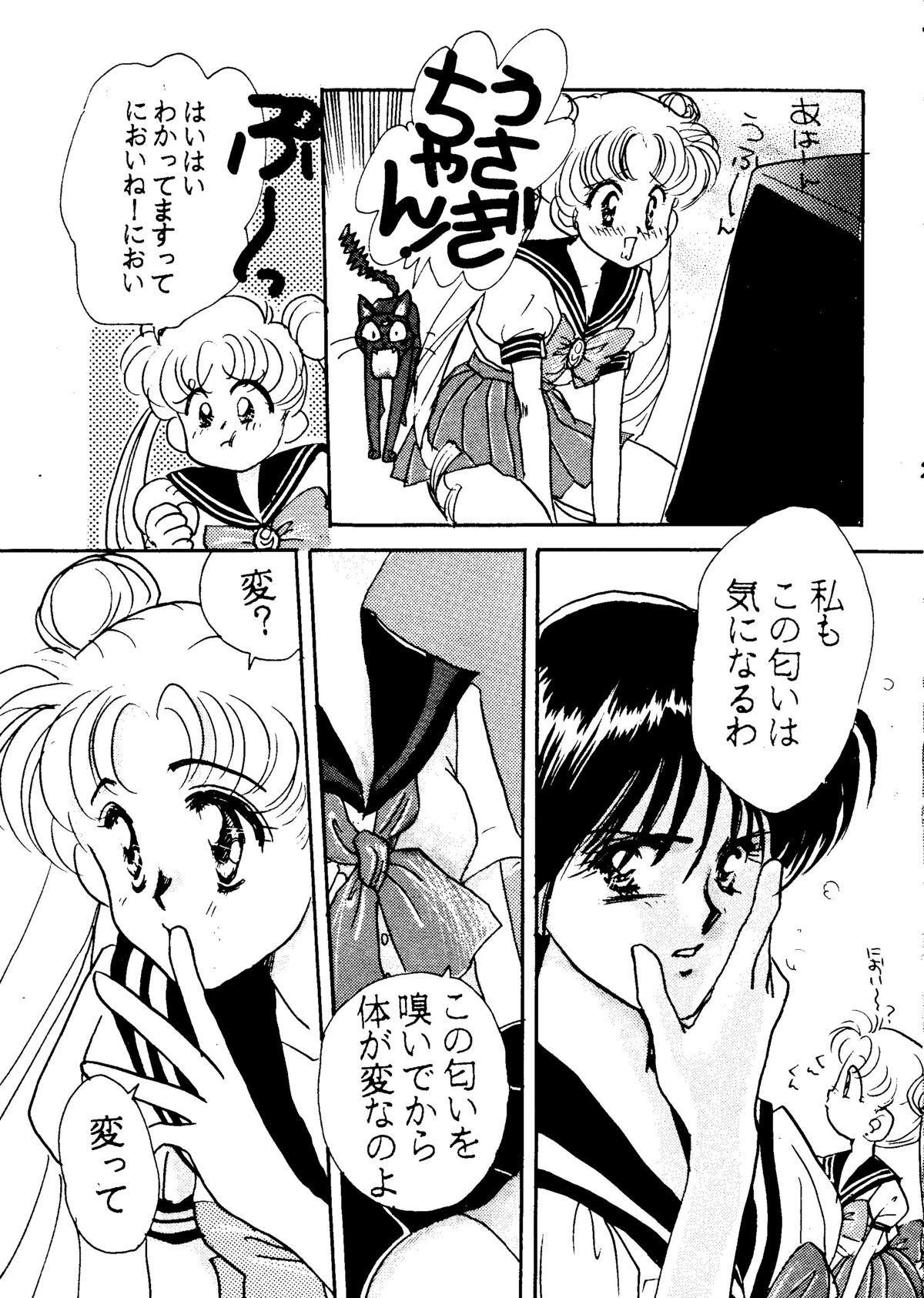 (C42) [林檎堂 (まんだ林檎)] うさぎちゃん生本番一発勝負 (美少女戦士セーラームーン)