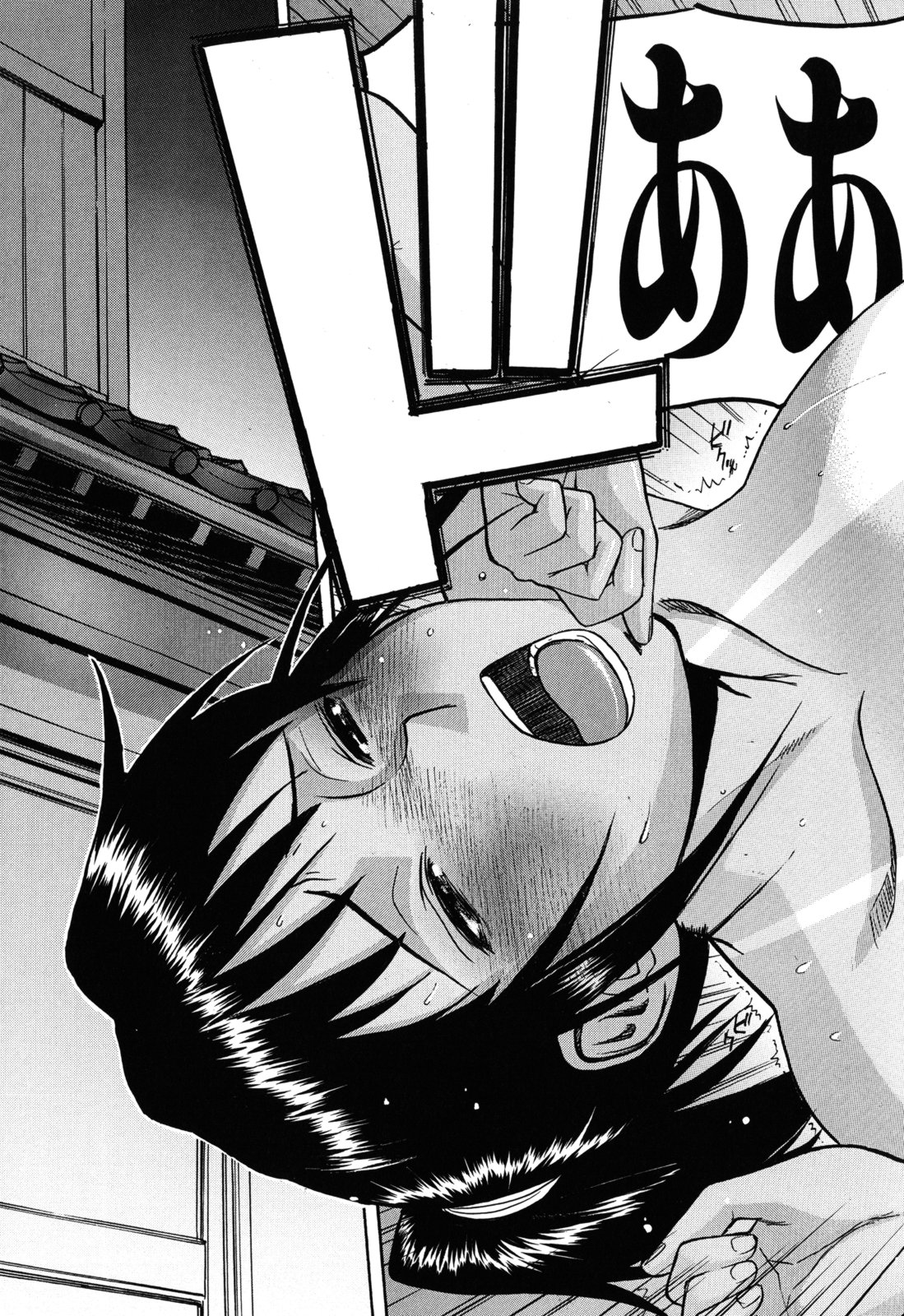 [いのまる] カメリア