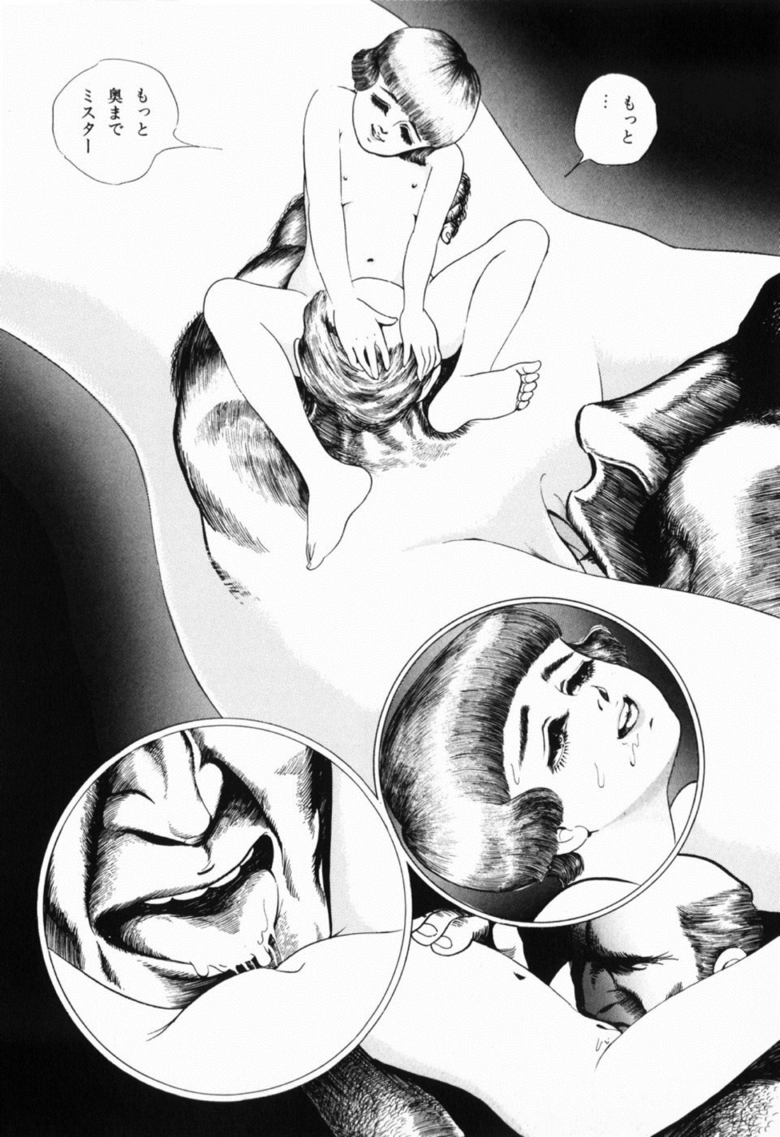 [しだ翠] 蘭館