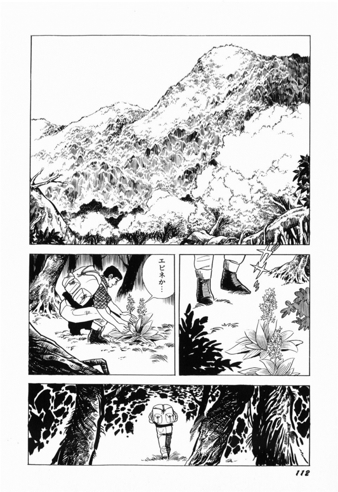[しだ翠] 蘭館