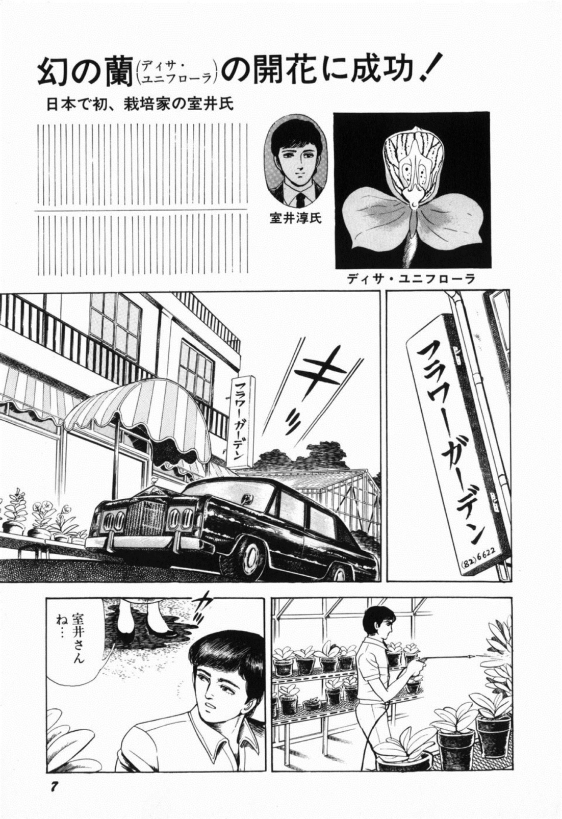 [しだ翠] 蘭館