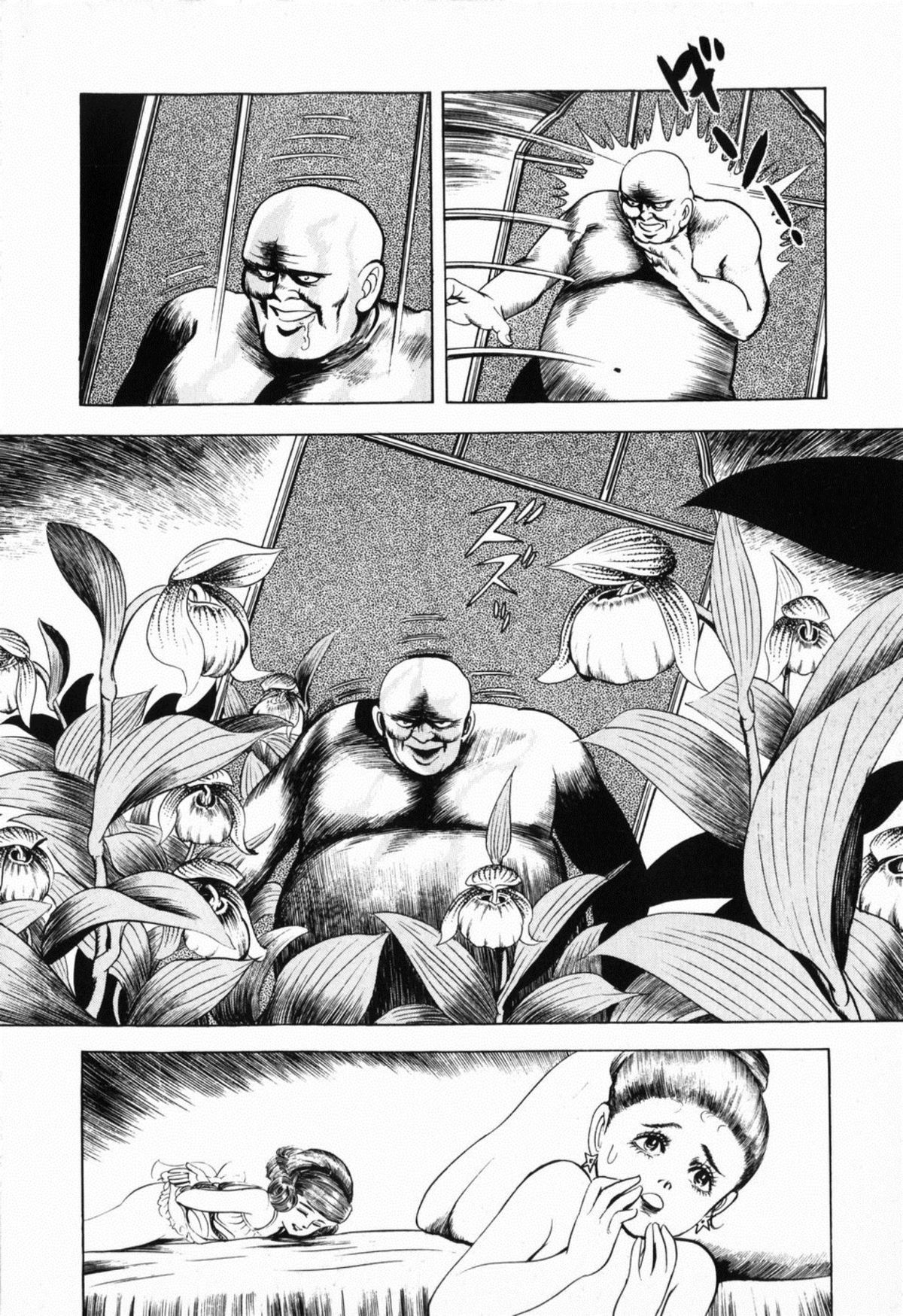 [しだ翠] 蘭館
