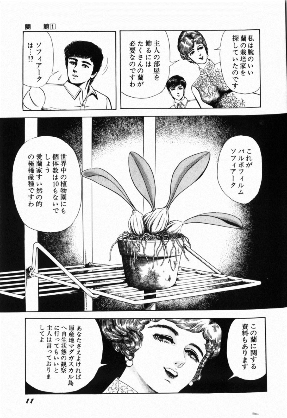 [しだ翠] 蘭館