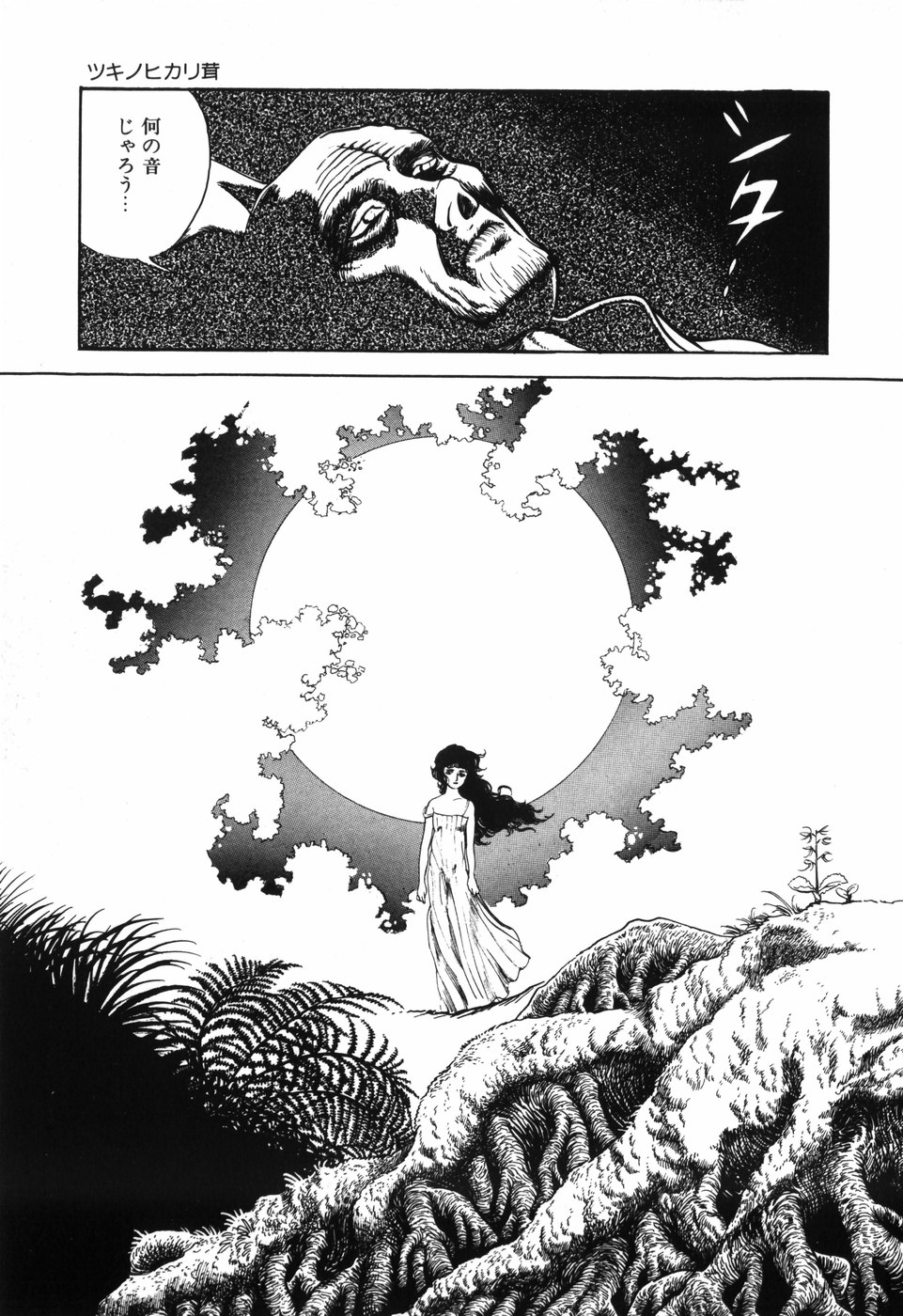 [しだ翠] 蘭館