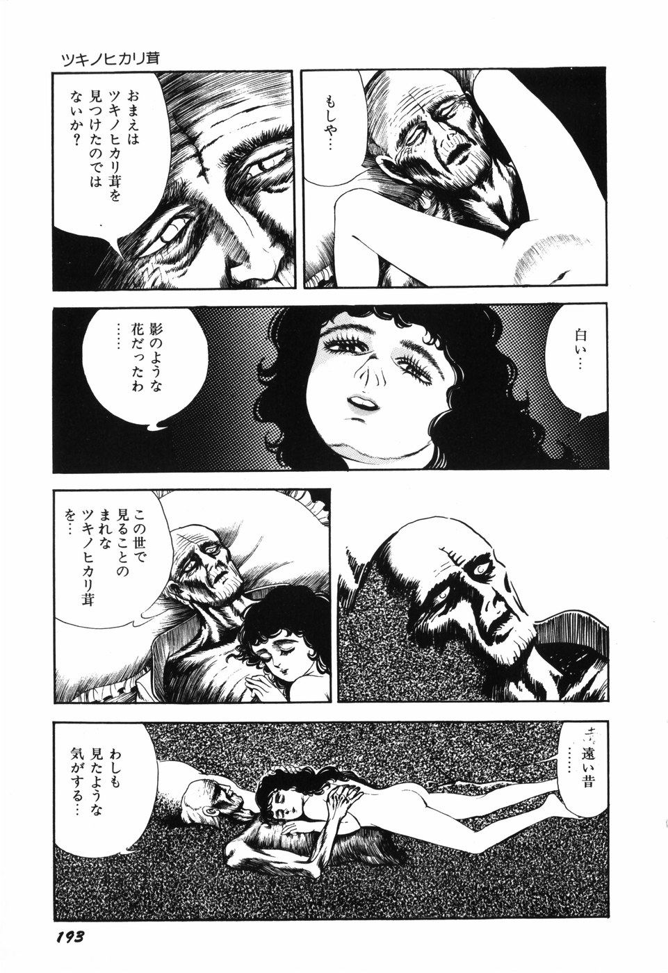 [しだ翠] 蘭館