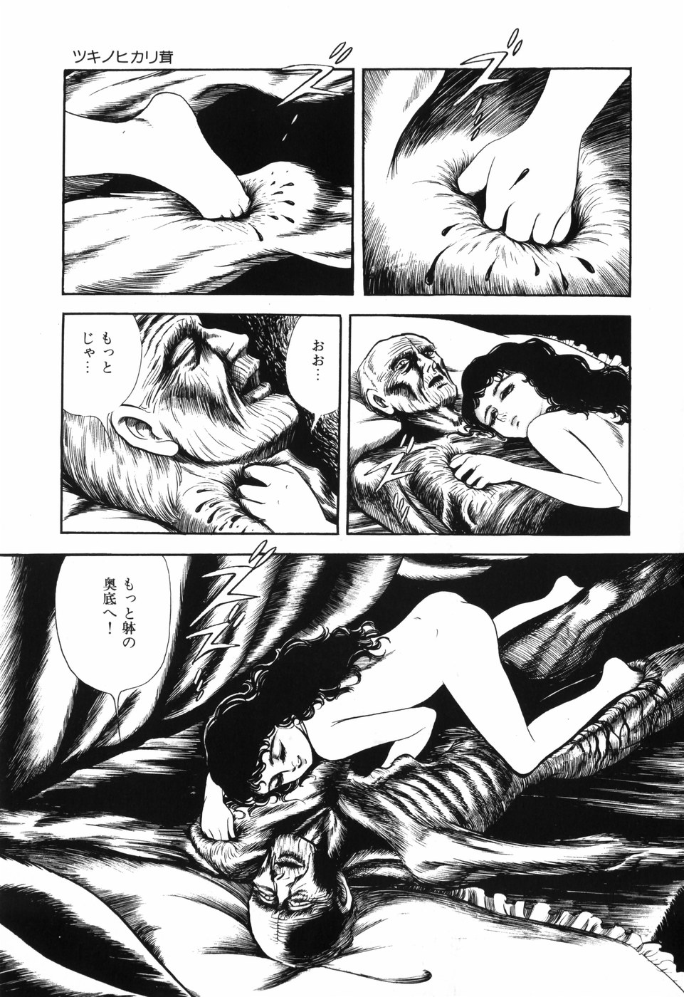 [しだ翠] 蘭館