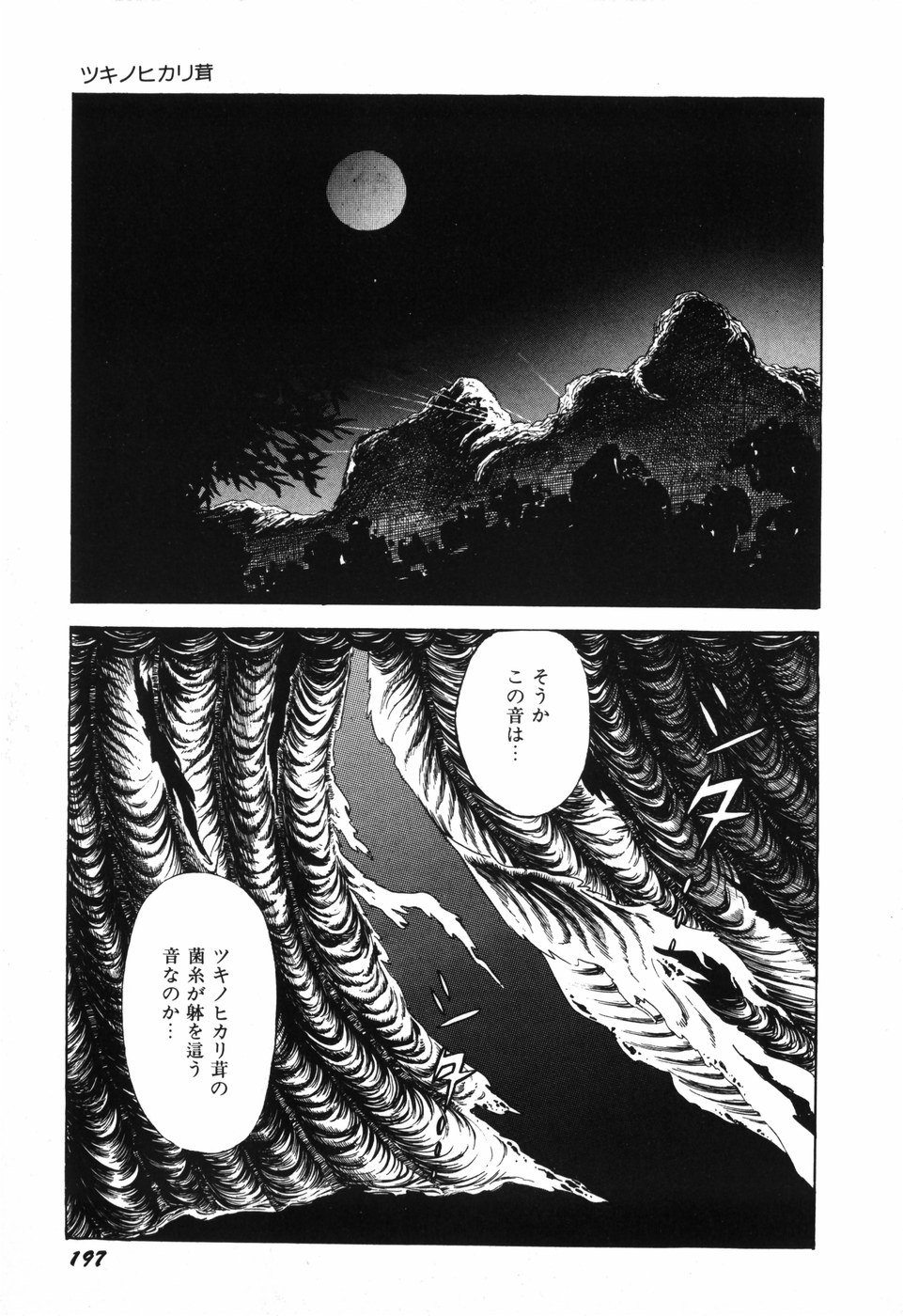 [しだ翠] 蘭館