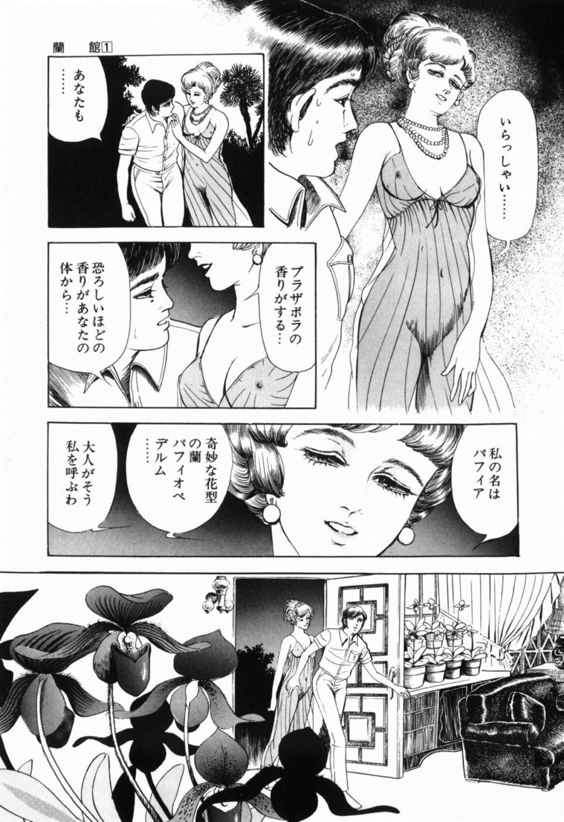 [しだ翠] 蘭館