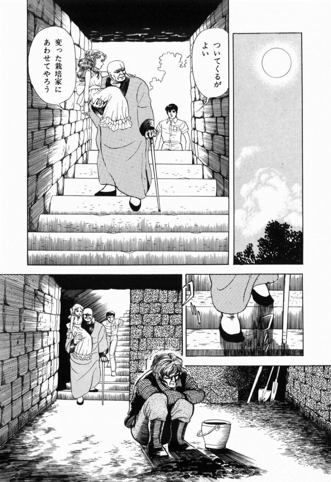 [しだ翠] 蘭館