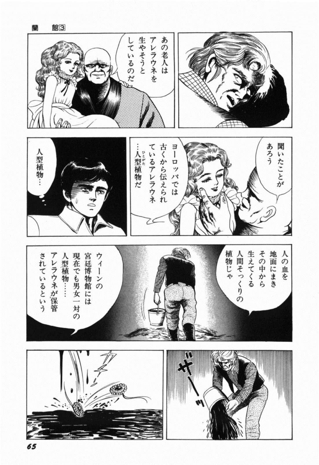 [しだ翠] 蘭館