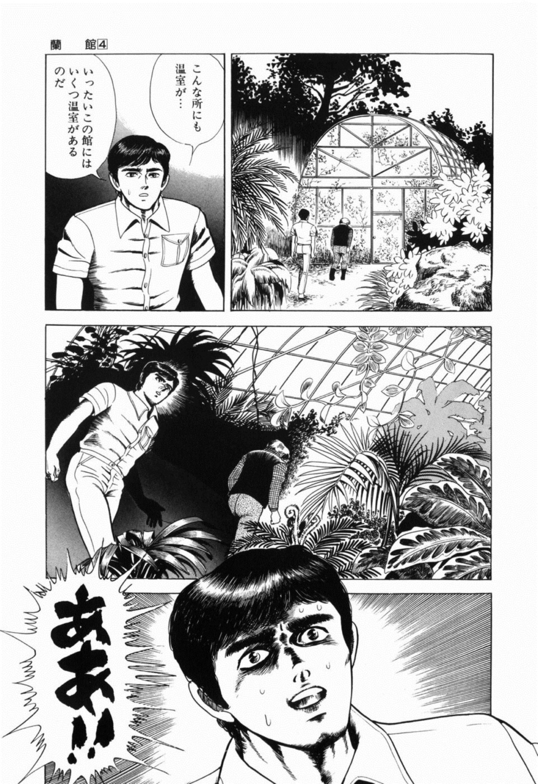 [しだ翠] 蘭館