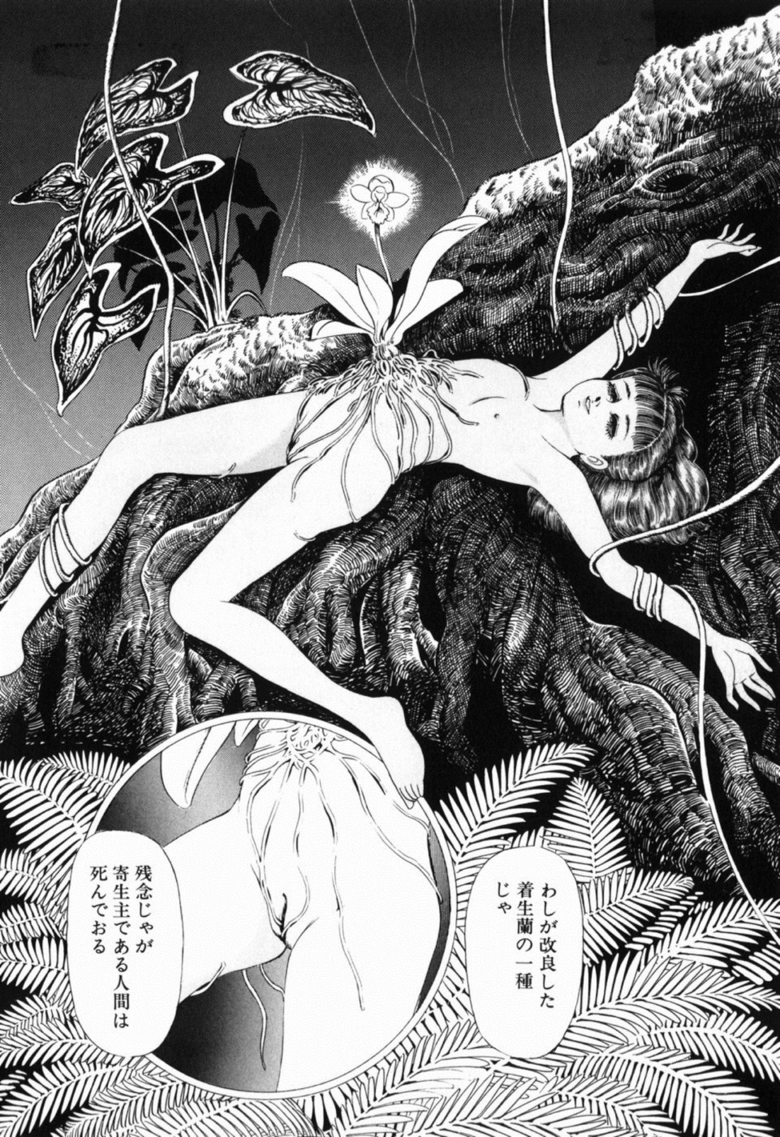 [しだ翠] 蘭館