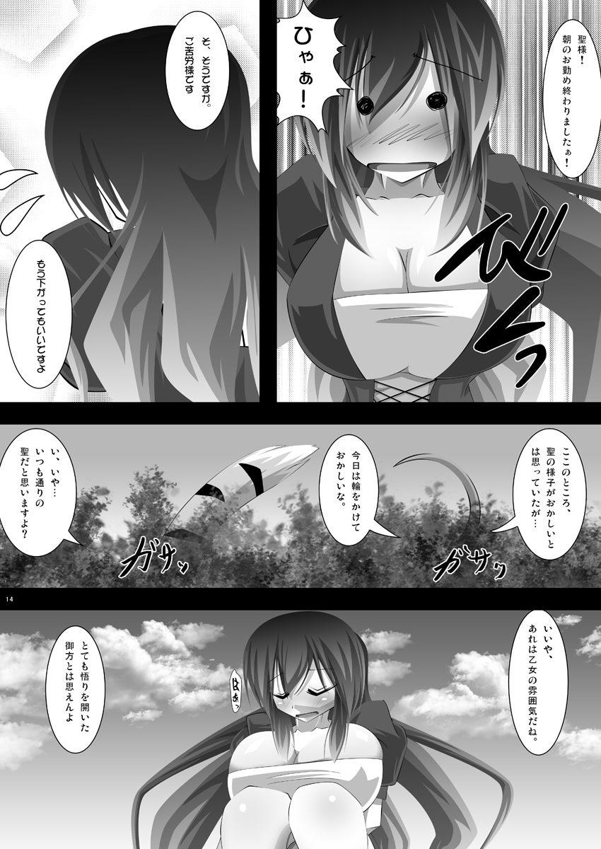 (C78) [寺岡デジタルワークス (遠藤辰己)] 東方年増宴・聖 (東方Project)