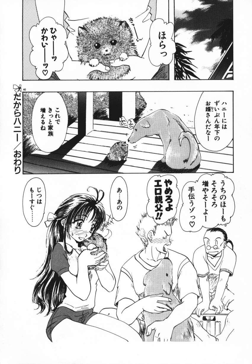 [U-K] 天使の羽コレクション