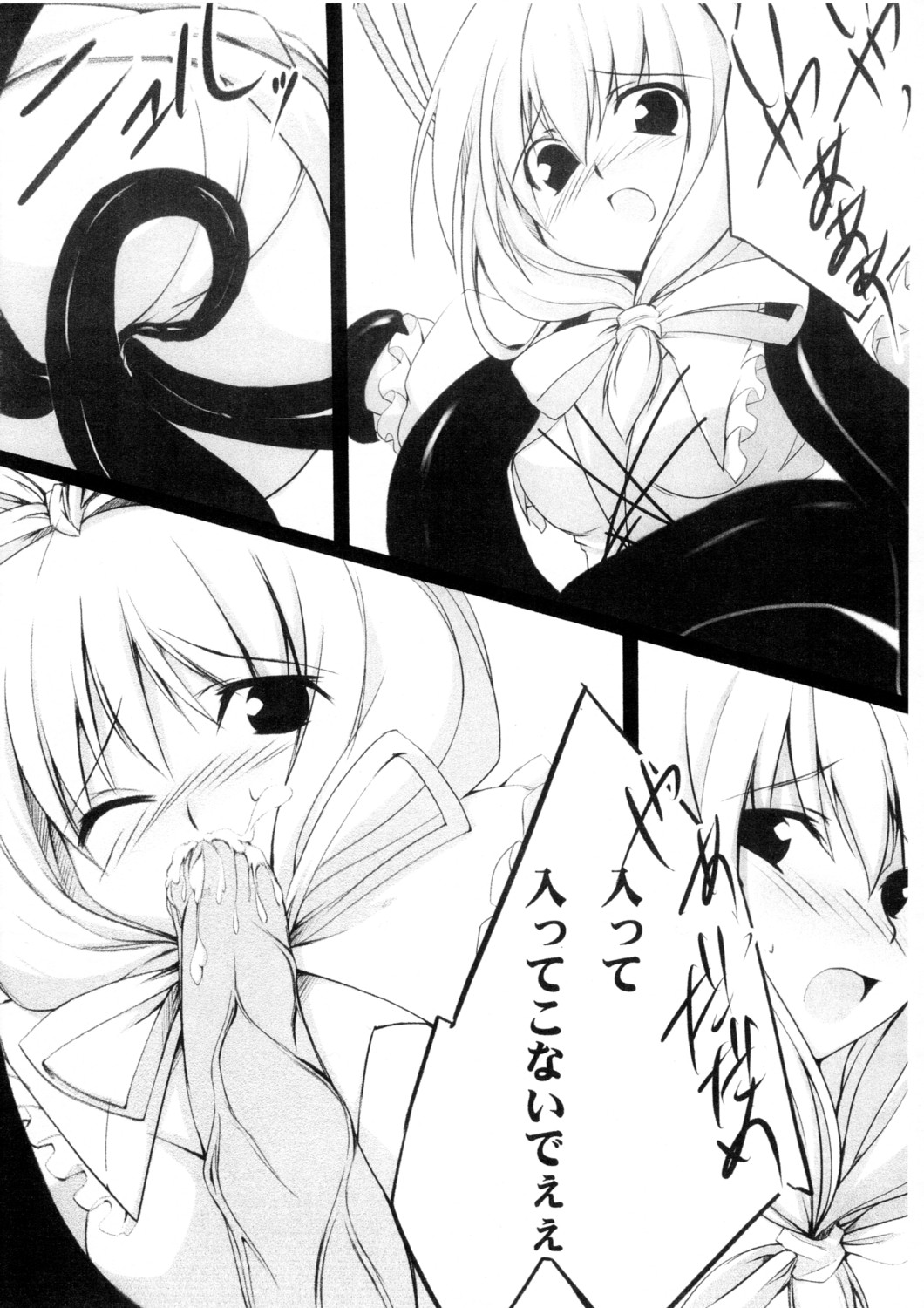 (C73) [Last Garden (井村屋あゆか)] -Misfortune- (東方Project)