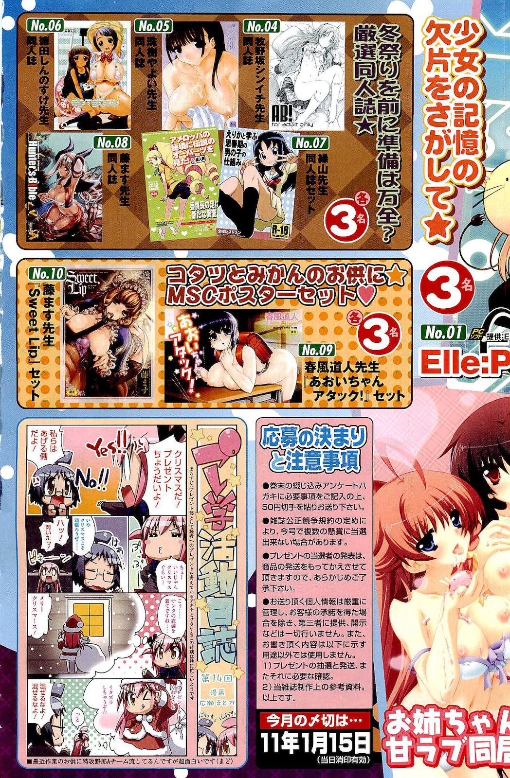 コミックメガストア 2011年2月号