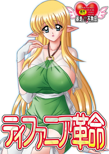 (C74) [暴走！！不発団 (高井美姫)] ティファニア革命 (ゼロの使い魔)