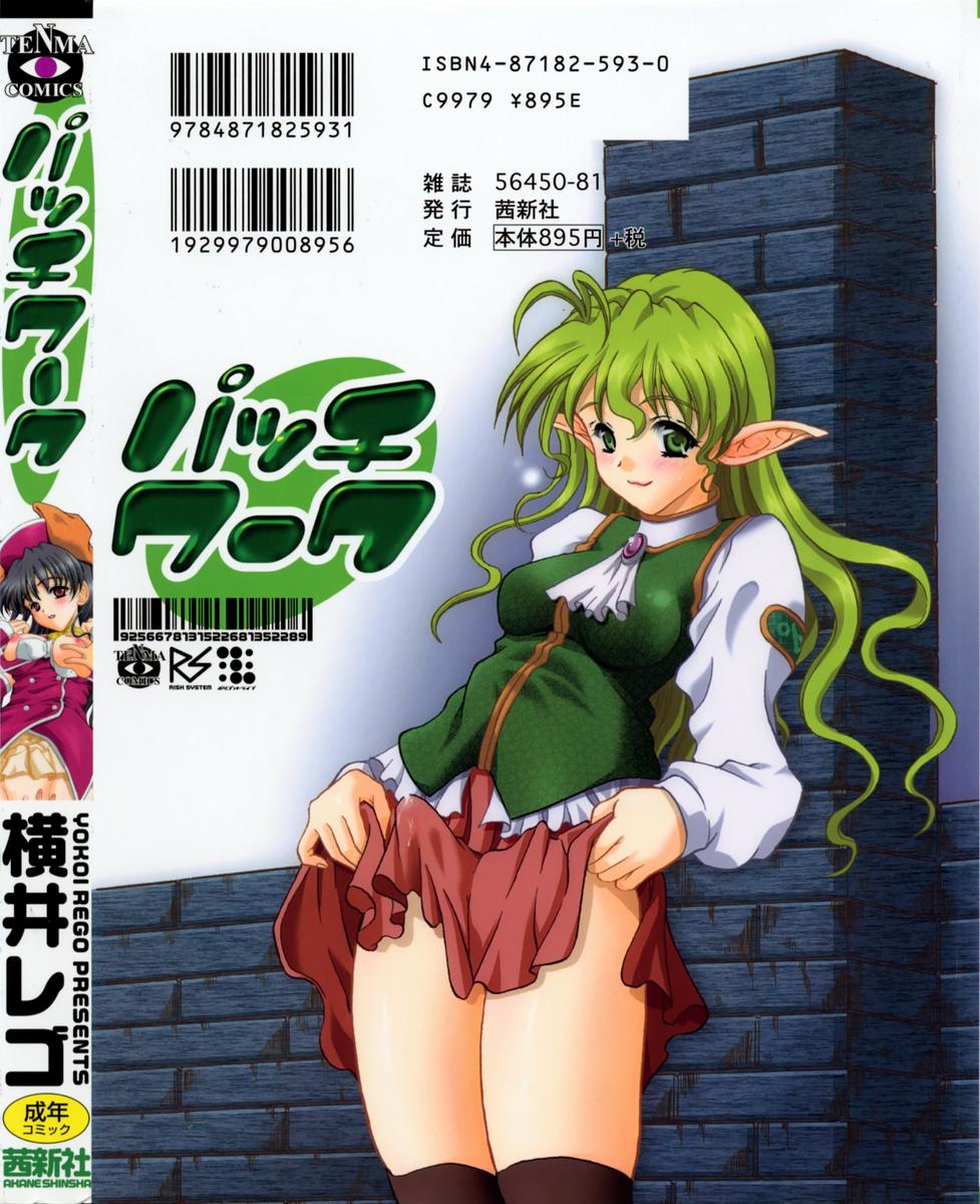 【横井レゴ】パッチワーク（英語）