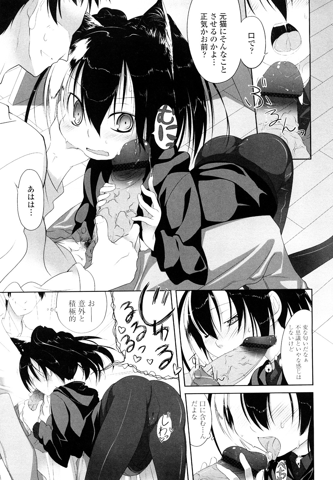 [緑のルーペ] イマコシステム