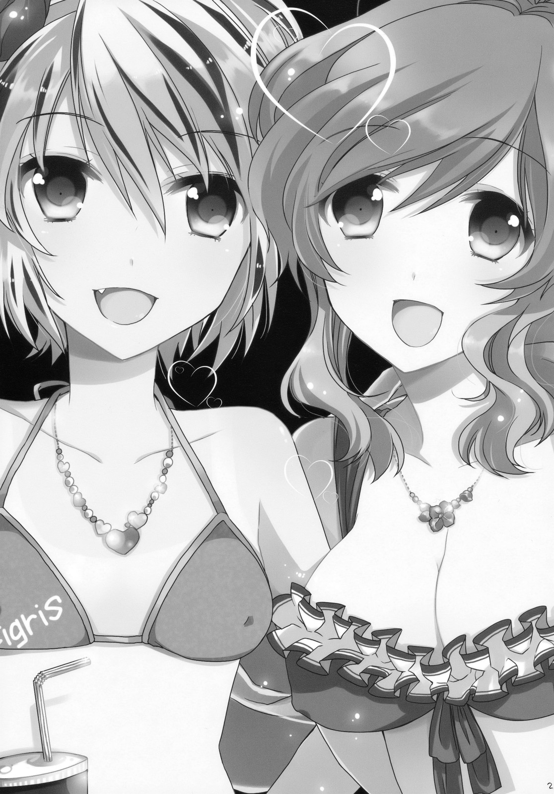 (C78) [Lesport (中山みゆき)] mogmog (東方Project)