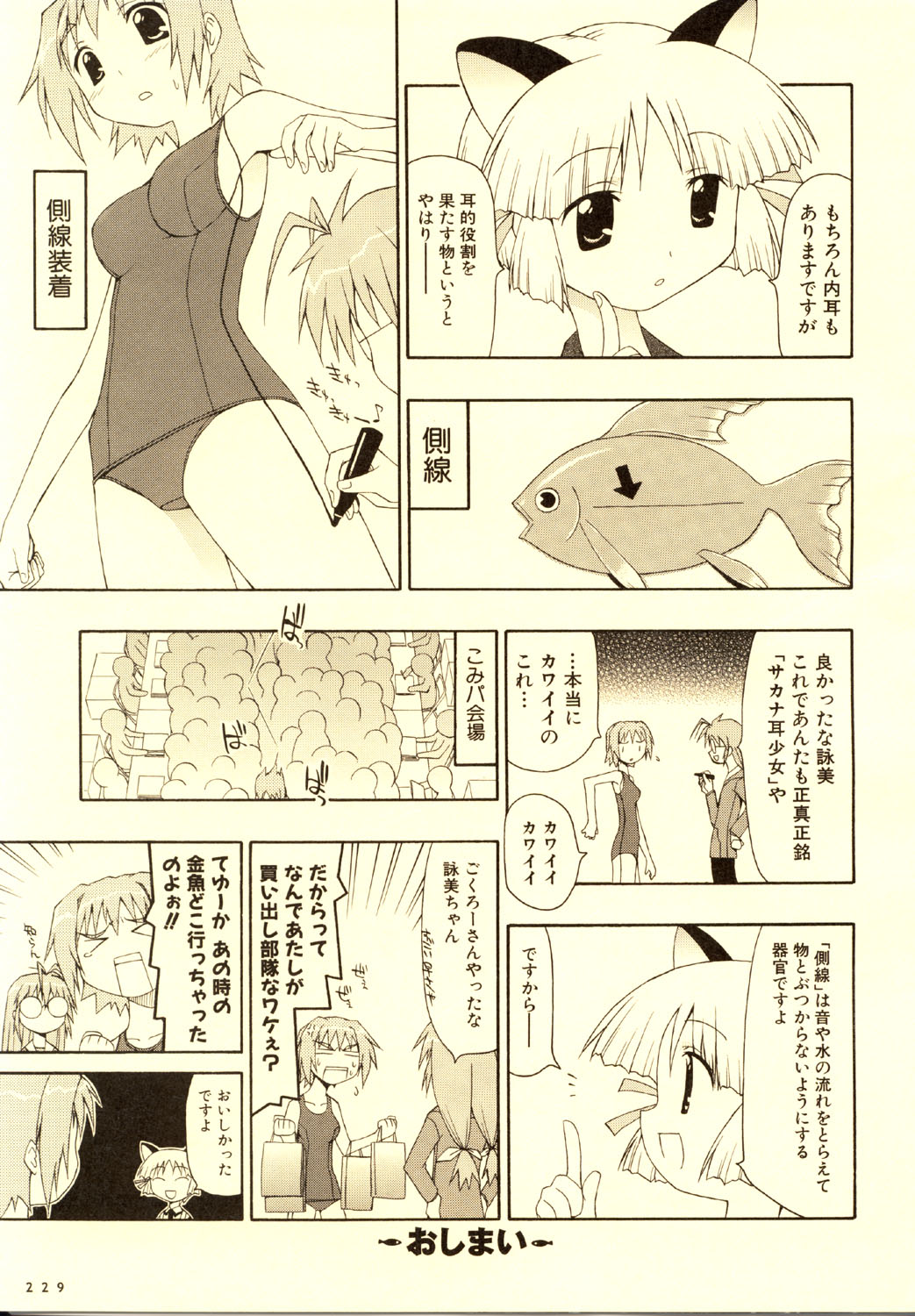 こみっくパーティー ビジュアルファンブック