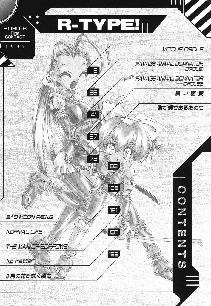 [暴武R] R TYPE