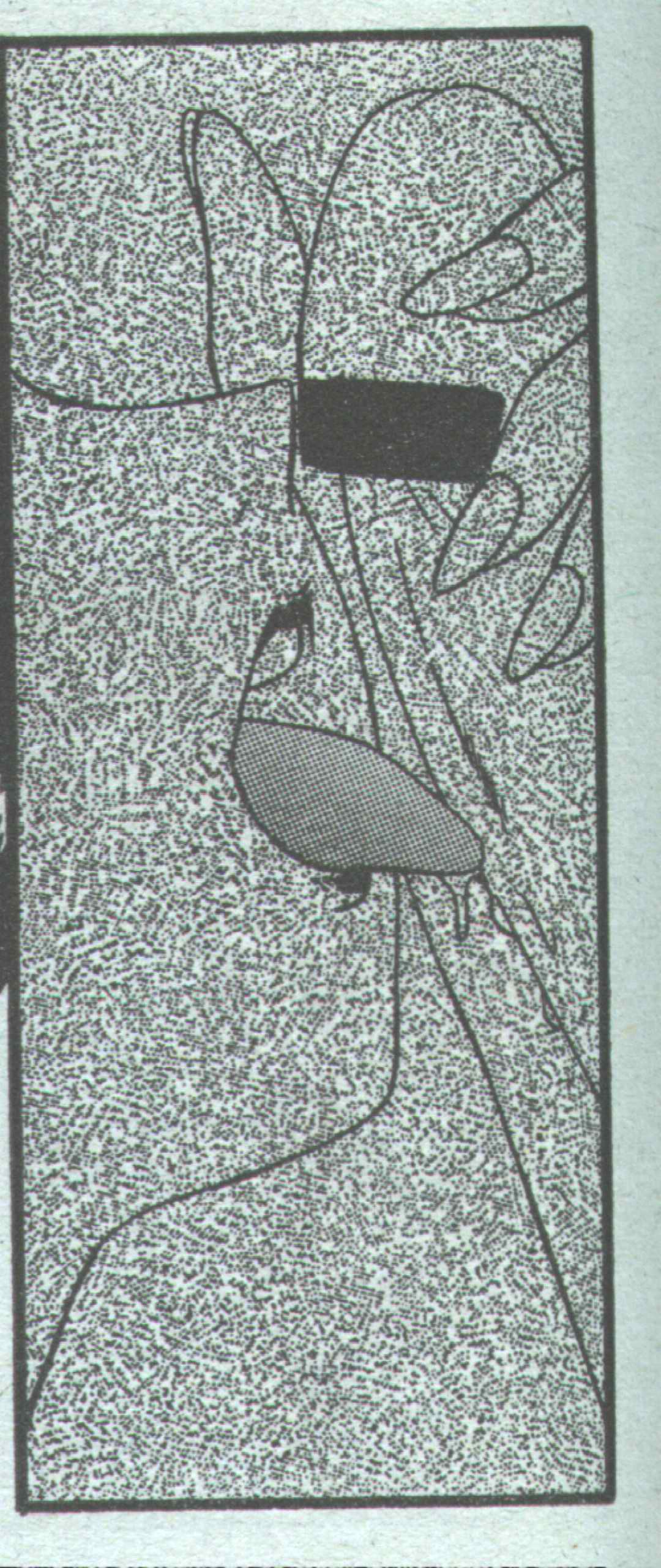 コットンコミック 1994年08月号 [不完全]