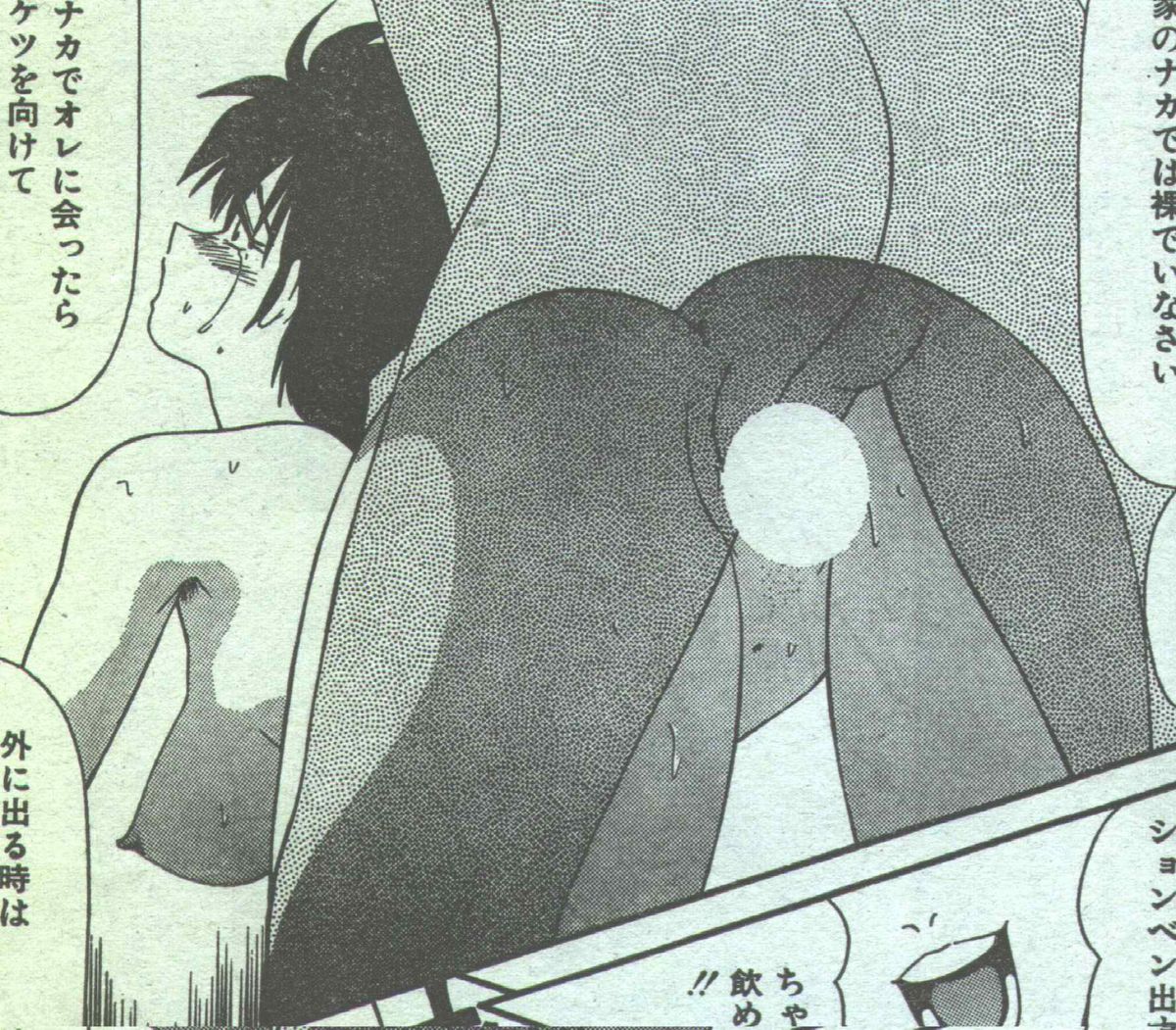 コットンコミック 1994年08月号 [不完全]