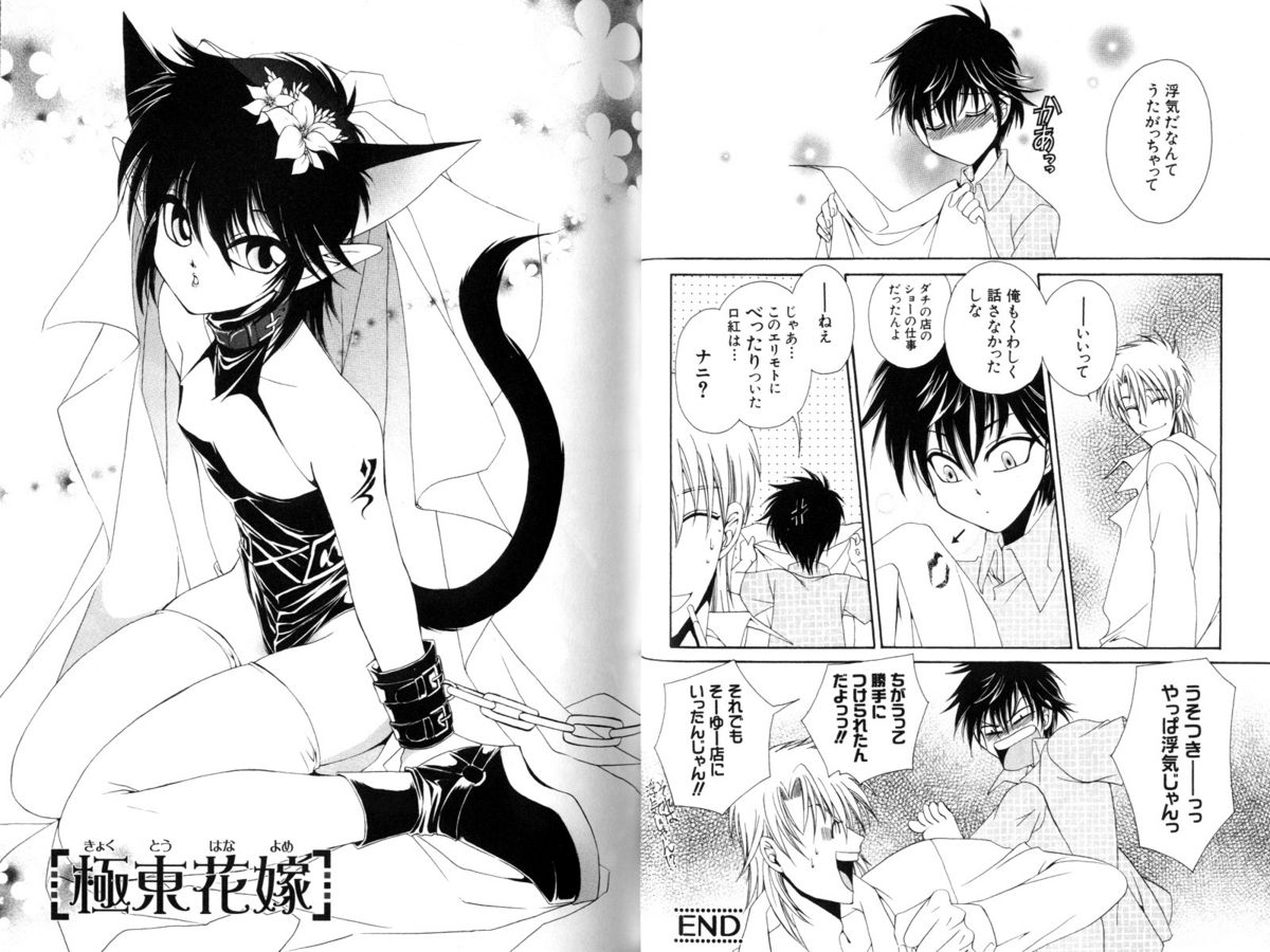 [Dr.天] いと愛し君