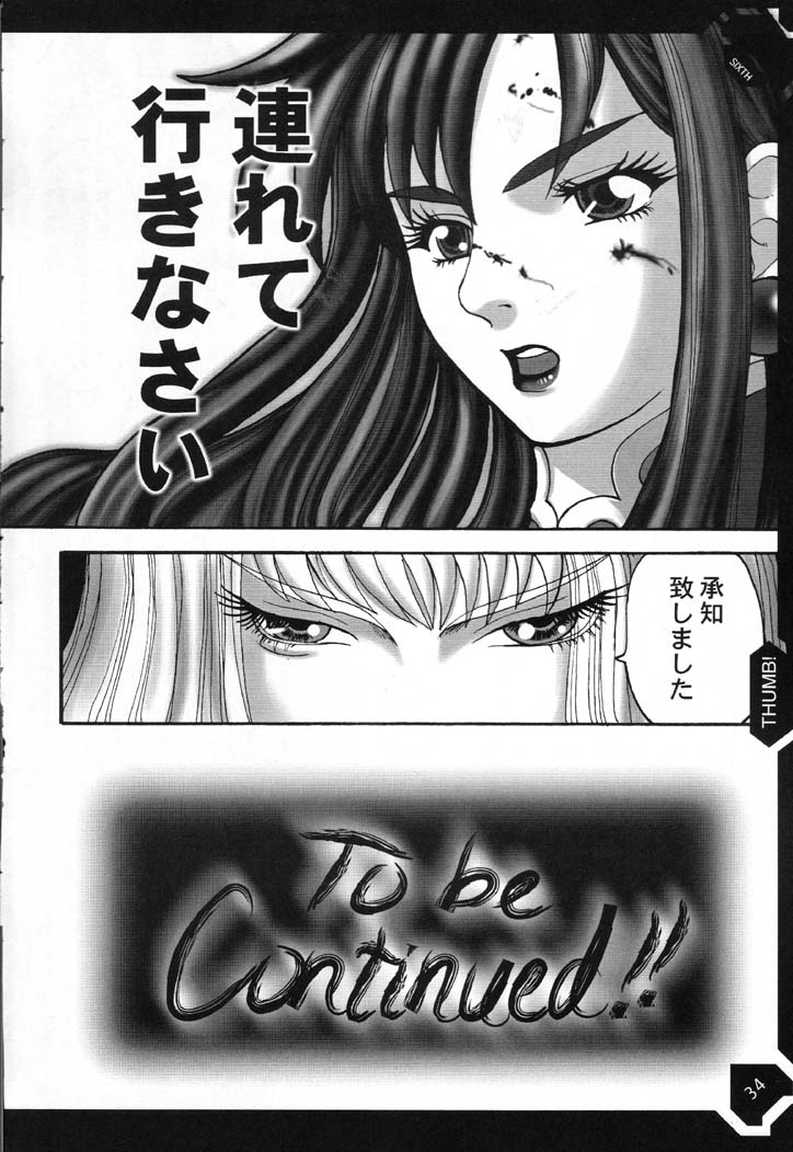 (C61) [ぶるがり屋 (よろず)] THE SIXTH (ストリートファイター)