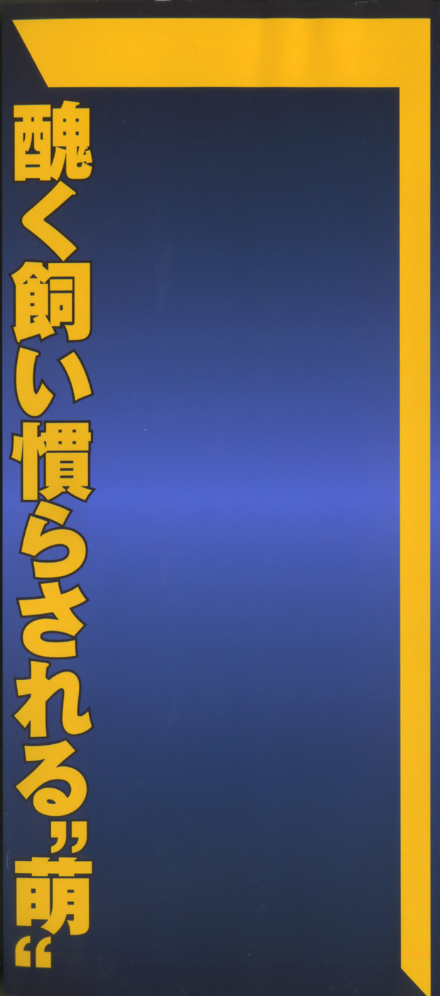 [アンソロジー] 僕の妹が出来るまで