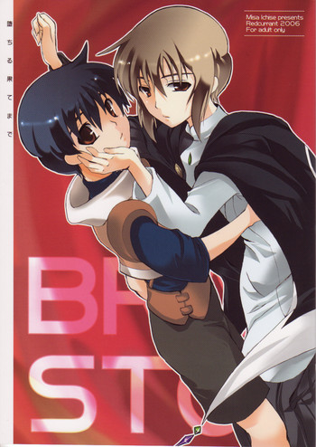 [レッドカラント (一瀬ミサ)] 堕ちる果てまで (ブレイブストーリー)