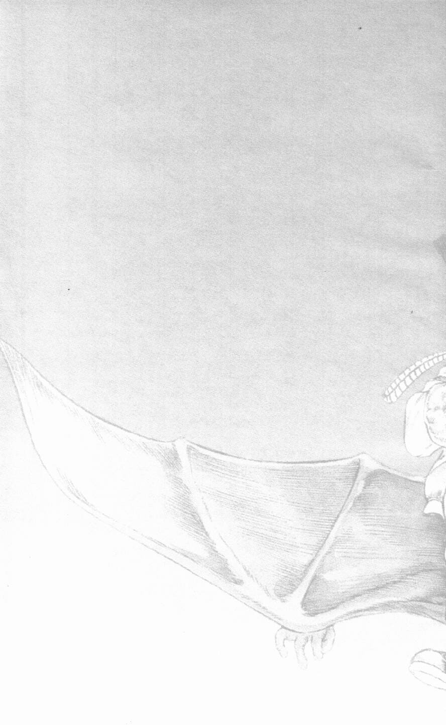 [前田俊夫] うろつき童子 第2巻 [英訳]