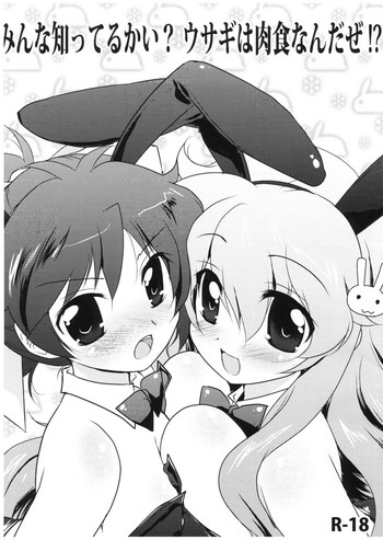 (とら祭り2010) [わつき屋 (わつき彩雲)] みんな知ってるかい？ウサギは肉食なんだぜ！？(バカとテストと召喚獣)